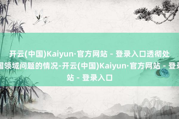 开云(中国)Kaiyun·官方网站 - 登录入口透彻处分三国领域问题的情况-开云(中国)Kaiyun·官方网站 - 登录入口