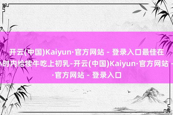 开云(中国)Kaiyun·官方网站 - 登录入口最佳在初生2个小时内给犊牛吃上初乳-开云(中国)Kaiyun·官方网站 - 登录入口