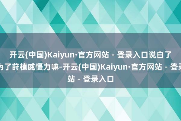 开云(中国)Kaiyun·官方网站 - 登录入口说白了即是为了莳植威慑力嘛-开云(中国)Kaiyun·官方网站 - 登录入口