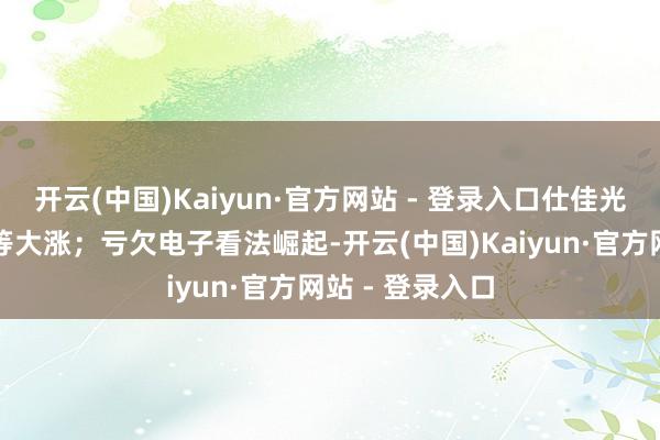 开云(中国)Kaiyun·官方网站 - 登录入口仕佳光子、博创科技等大涨；亏欠电子看法崛起-开云(中国)Kaiyun·官方网站 - 登录入口
