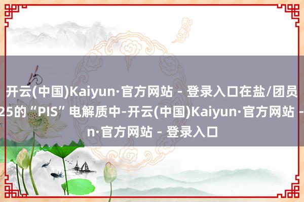 开云(中国)Kaiyun·官方网站 - 登录入口在盐/团员物比为1.25的“PIS”电解质中-开云(中国)Kaiyun·官方网站 - 登录入口