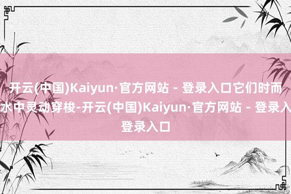 开云(中国)Kaiyun·官方网站 - 登录入口它们时而在水中灵动穿梭-开云(中国)Kaiyun·官方网站 - 登录入口