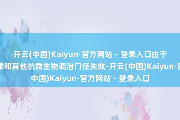 开云(中国)Kaiyun·官方网站 - 登录入口由于药物耐药性使抗生素和其他抗微生物调治门径失效-开云(中国)Kaiyun·官方网站 - 登录入口