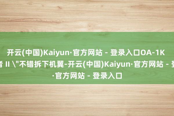 开云(中国)Kaiyun·官方网站 - 登录入口OA-1K 